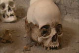 Solving History with Olly Steeds: Peruvian Grave Robbers