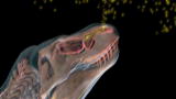 Clash of the Dinosaurs: Seven Ton Super Bloodhound