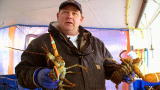 Lobstermen: Meet Capt. Tim Handrigan -- Video link!