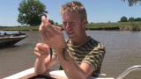 Man vs. Fish: Live Fish Bracelet