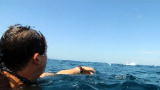 Man vs. Wild: Swimming With Whales