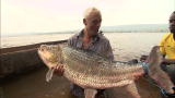 River Monsters: Thursdays at 9PM E/P