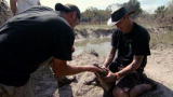 Swamp Brothers: Gator Sexing