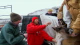 Dirty Jobs: Avoid the Antlers