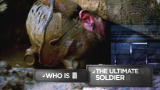 One Man Army: One Man Army Sneak Peek