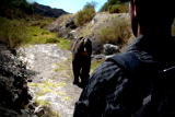 I Was Bitten: Mauled by a Grizzly