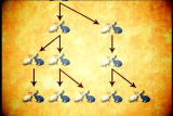 Assignment Discovery: Fibonacci Sequence