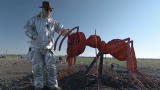 MythBusters: Nuclear Super Ant