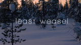 Frozen Planet: Filming the Weasel Hunt
