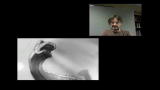 Dinosaur Revolution: Dinosaur Story Pitch