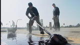 Dirty Jobs: Hot Tar Roofer (Full Episode)