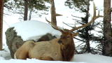 Planet’s Best: Yellowstone National Park