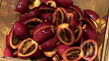 Brew Masters: Tamarillo Brew Kickoff