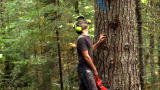 American Loggers: Dangerous Chainsaws