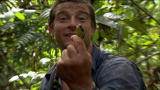 play video on Discovery Channel