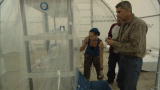 The Colony: Compound Recon