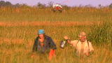 Dual Survival 2: Escaping The Sun