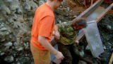 Gold Rush Alaska: Harness Goes Down