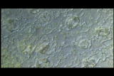 Assignment Discovery Shorts 06/07,07/08: Energy Molecules