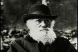 Assignment Discovery Shorts: Descent of Man