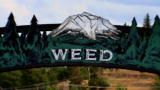 Weed Country: The Town of Weed