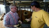 Dirty Jobs: Holey Cow!