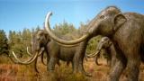 Prehistoric Denver: Mile High Mammoths