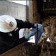 Dirty Jobs: The Muffin Monster