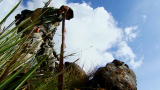 Out of the Wild: Venezuela: Foot Dragging Descent