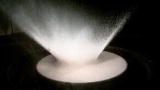 Bad Universe: Can Bacteria Survive?