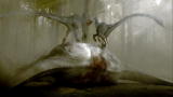 Clash of the Dinosaurs: Sauropod Bloodbath