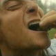 Man vs. Wild: Maggotty Meals