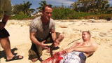 Shark Week: Aiding a Shark Attack Victim