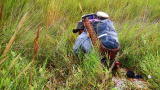 Out of the Wild: Venezuela: Battle of the Bog