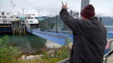 Gold Rush Alaska: Greg's Family Farewell