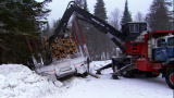 American Loggers: A Nasty Corner
