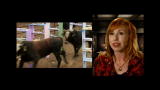 MythBusters: Bull in a China Shop
