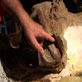 Dinos: Getting To Know a Duck-Billed Dinosaur