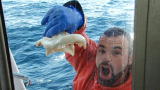 Chasing The Catch: Fooled Again