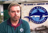 Future Shark: Evolution of Shark Research