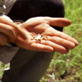 Man vs. Wild: Larvae Lunch