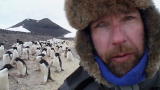 Frozen Planet: Driven Mad by Penguins