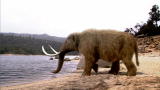 Prehistoric Chicago: Mastodon Haven