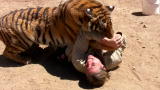 Penn & Teller Tell A Lie: Tiger LIE Extras