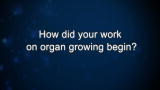 Curiosity: A. Atala: How did your work on organ growing begin?