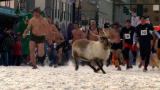 Flying Wild Alaska: Running With Reindeer