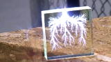 Tech: Engineering Tissue