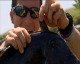 Man vs. Wild Most Popular