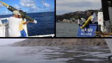 Cool Jobs: Oceanographer
