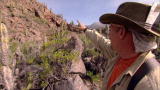 Dual Survival: Ancient Bones